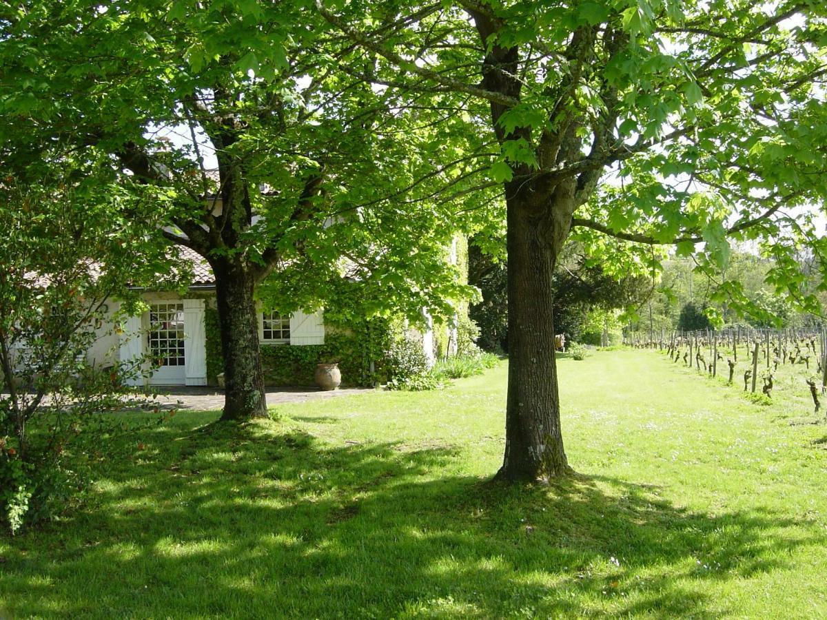 Chateau Ysard Villa Camblanes-et-Meynac Eksteriør billede