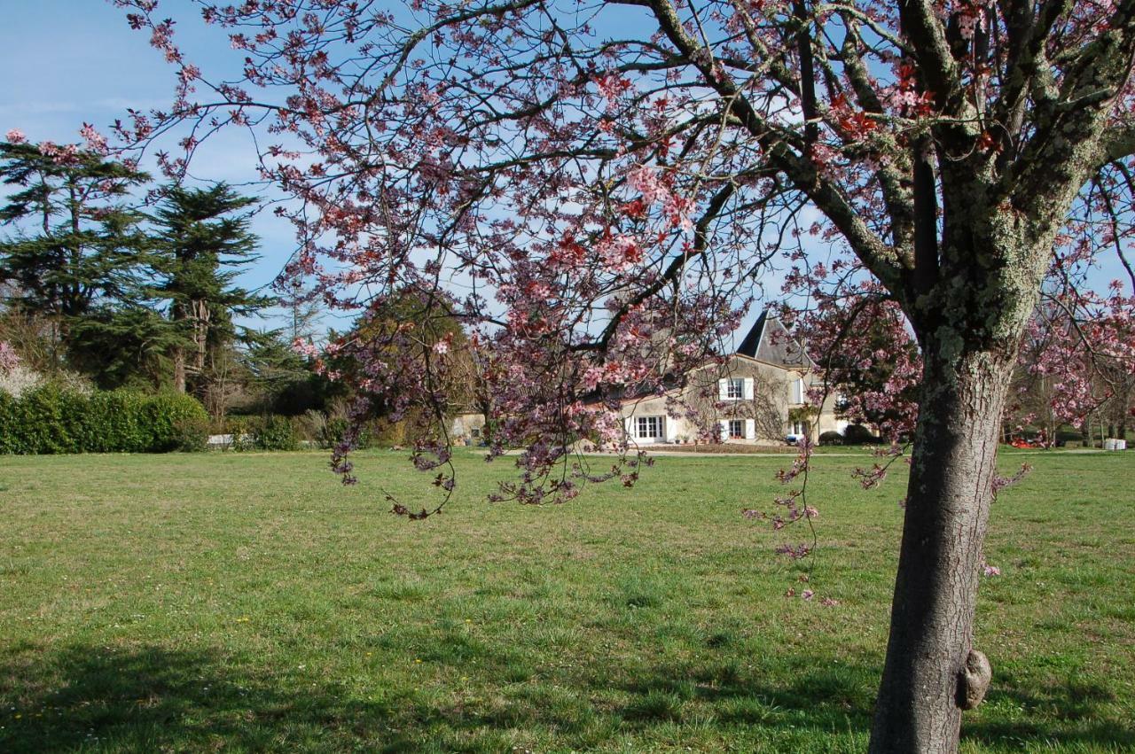 Chateau Ysard Villa Camblanes-et-Meynac Eksteriør billede